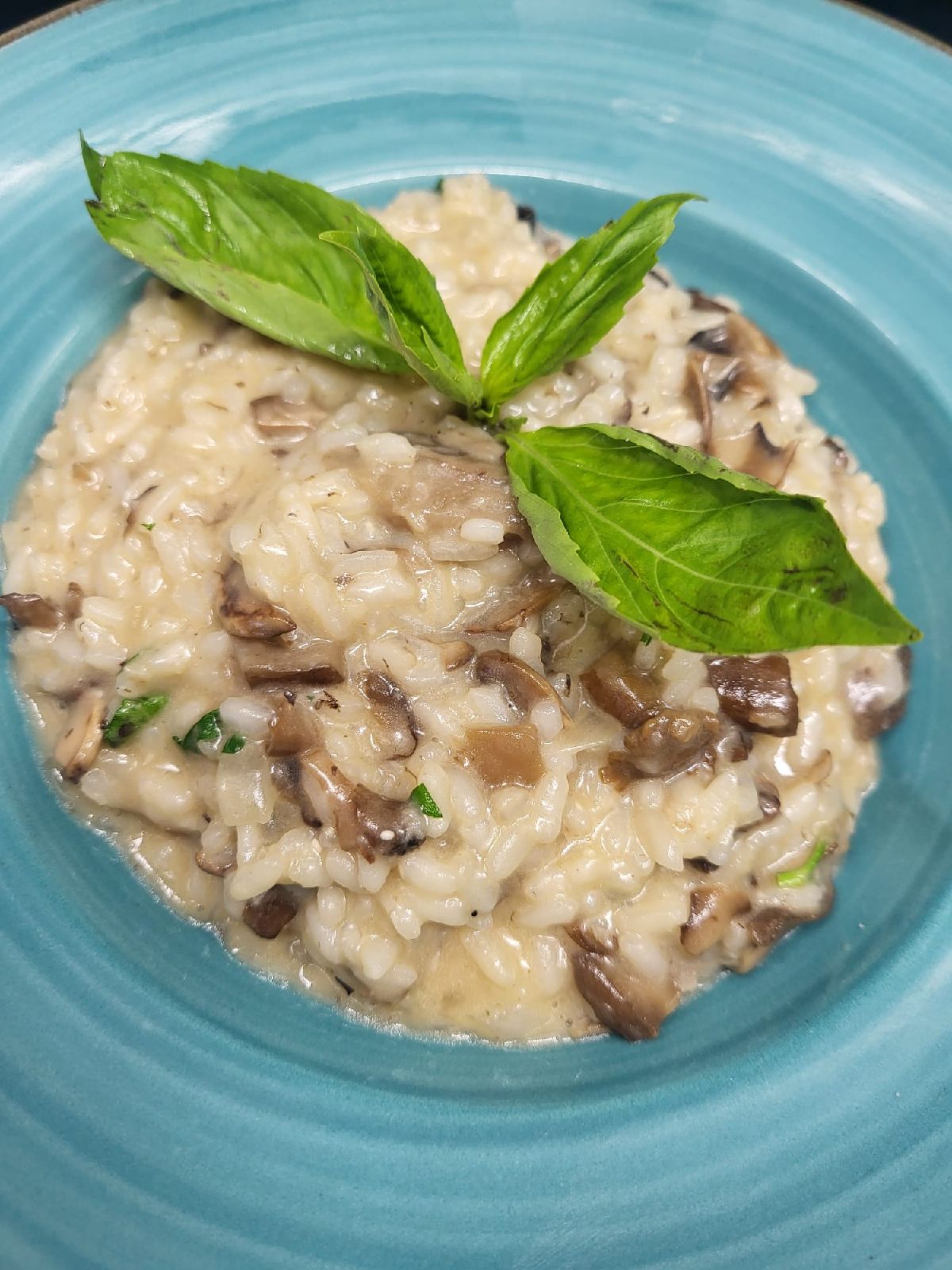 Risotto Mushroom