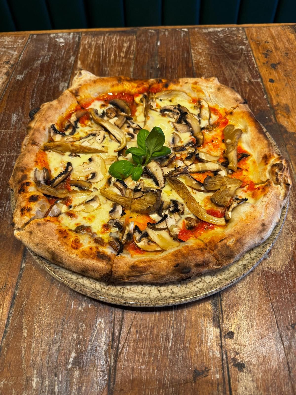 Truffle Funghi